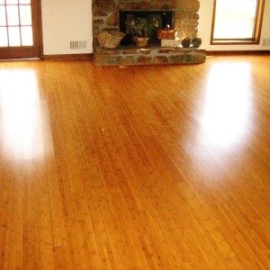 Bamboo_Flooring