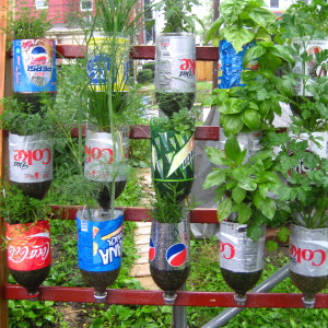 Bottle garden