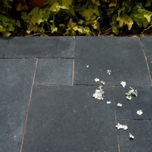 Cuddapah flooring