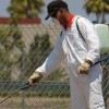PEST CONTROL