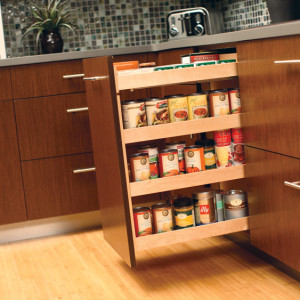 PULL OUT SYSTEM