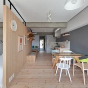 PlyWood Partition wall