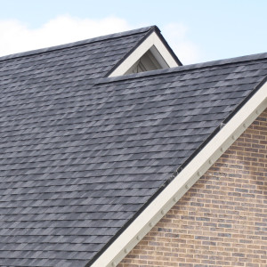 shingles-roof