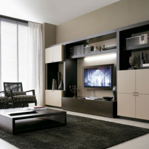 modern living room,guest room