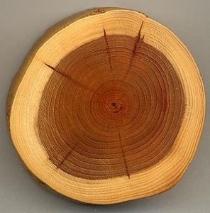 Wood (1)