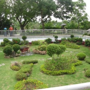 Landscape designing