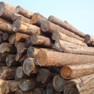 wood