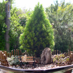 Garden trees